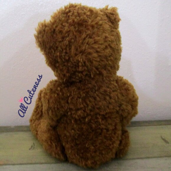 Hope Star Teddy Bear Plush - Picture 7 of 8